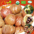 Vacuum packed roasted chestnuts snacks for sale